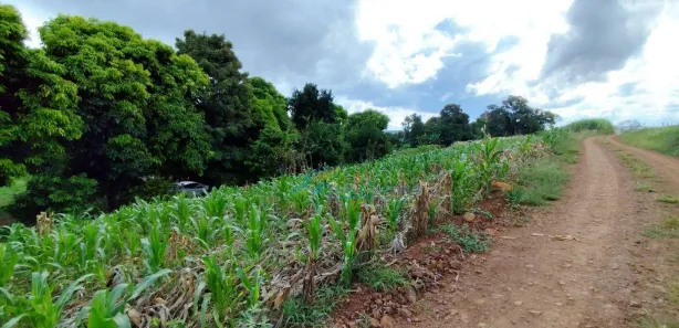 Fazenda / Sítio / Chácara à venda, 96800m² no , Guaraniaçu