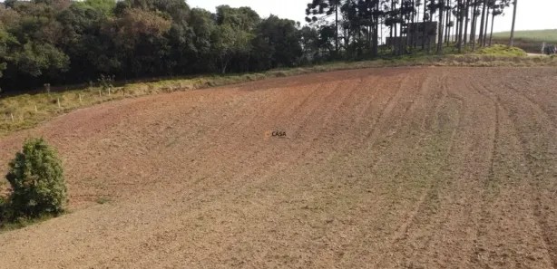 Fazenda / Sítio / Chácara com 1 Quarto à venda, 12312m² no Botiatuva, Campo Largo