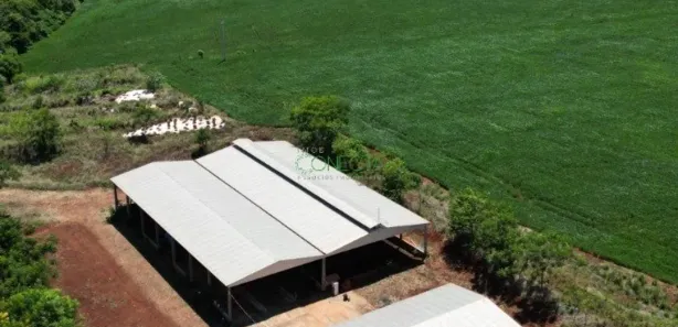 Fazenda / Sítio / Chácara à venda, 338800m² no , Uraí