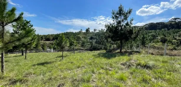 Terreno / Lote / Condomínio à venda, 3786m² no Loteamento Bosque Merhy, Quatro Barras