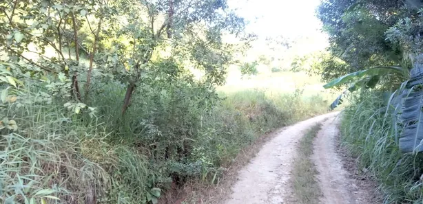 Fazenda / Sítio / Chácara com 1 Quarto à venda, 4000m² no Área Rural de Viçosa, Viçosa