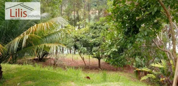 Fazenda / Sítio / Chácara com 3 Quartos à venda, 300m² no , Igaratá