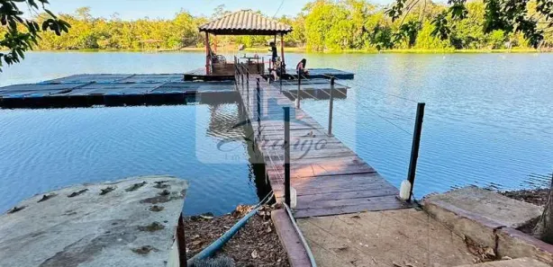 Fazenda / Sítio / Chácara com 4 Quartos à venda, 26000m² no Luzimangues, Porto Nacional