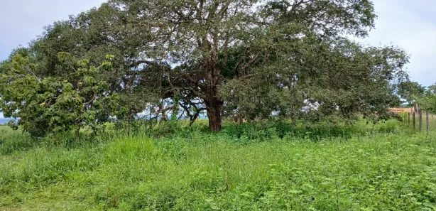 Fazenda / Sítio / Chácara à venda, 100000m² no Área Rural de Santo Antônio do Descoberto, Santo Antônio do Descoberto