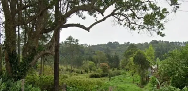 Terreno / Lote / Condomínio à venda, 543301m² no , Embu-Guaçu