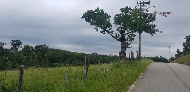 Fazenda / Sítio / Chácara à venda, 29440m² no , Araçoiaba da Serra