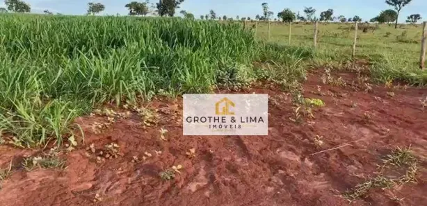 Fazenda / Sítio / Chácara com 5 Quartos à venda, 800m² no Padre Bernardo, Padre Bernardo