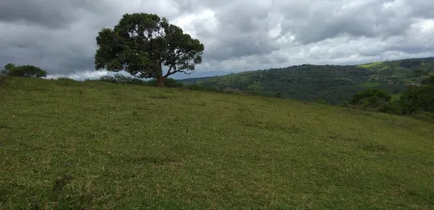 Fazenda / Sítio / Chácara com 2 Quartos à venda, 78408m² no Centro, Muritiba