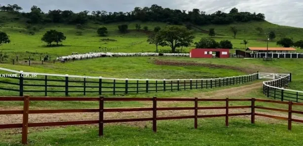 Terreno / Lote Comercial à venda, 1766600m² no Uraí, Uraí