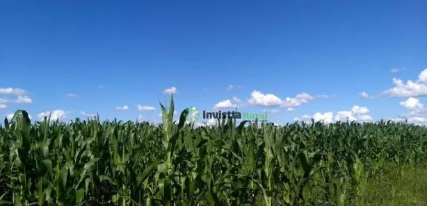 Fazenda / Sítio / Chácara à venda, 411m² no Centro, Cristalândia