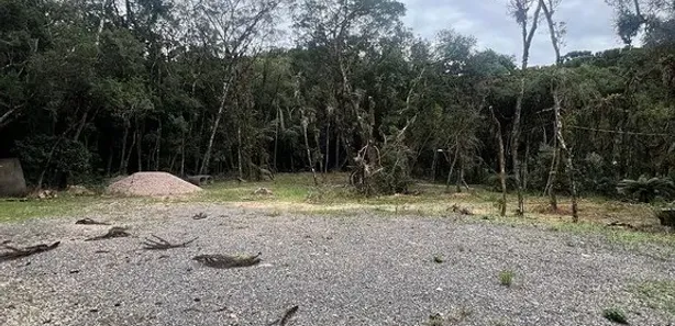 Fazenda / Sítio / Chácara com 2 Quartos para alugar, 180m² no Campo Largo da Roseira, São José dos Pinhais