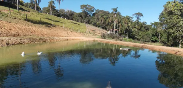 Fazenda / Sítio / Chácara com 2 Quartos à venda, 26000m² no Jardim dos Ipes, Mairinque