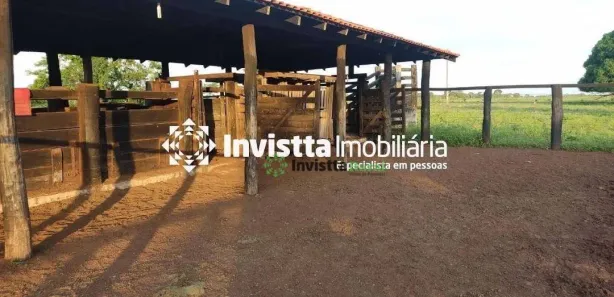 Fazenda / Sítio / Chácara à venda, 1450m² no Centro, Pium