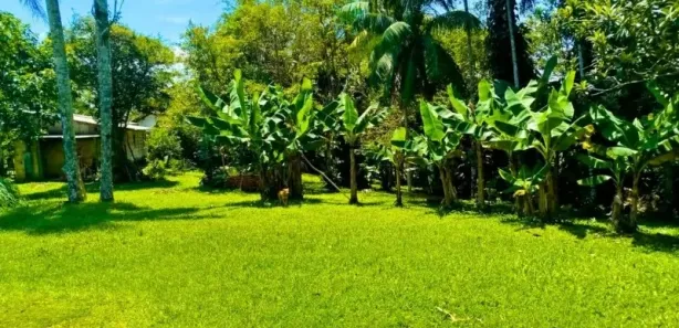 Fazenda / Sítio / Chácara com 4 Quartos à venda, 8000m² no Sao Lourenco, Juquitiba