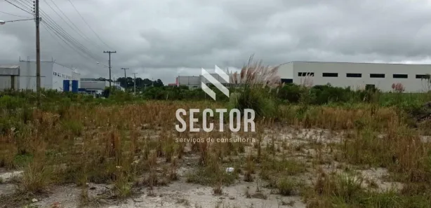 Terreno / Lote Comercial para alugar, 15000m² no Campo Largo da Roseira, São José dos Pinhais