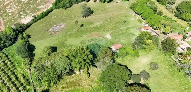Fazenda / Sítio / Chácara à venda, 6500m² no Condomínio Rural Colméia, Jaguariúna