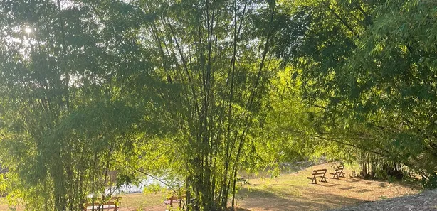 Terreno / Lote / Condomínio à venda, 435m² no Catu de Abrantes (Abrantes), Camaçari