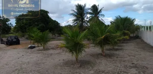 Fazenda / Sítio / Chácara com 2 Quartos à venda, 90m² no , Vera Cruz
