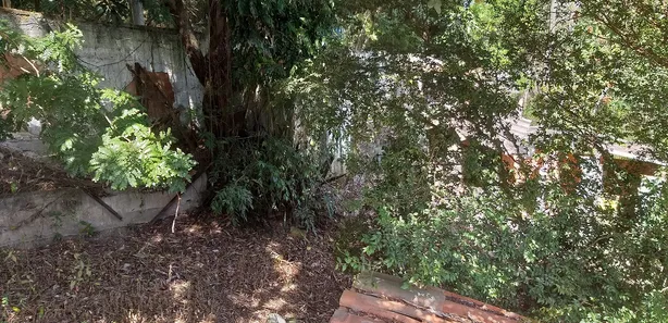 Fazenda / Sítio / Chácara com 2 Quartos à venda, 2721m² no Granja dos Cavaleiros, Macaé