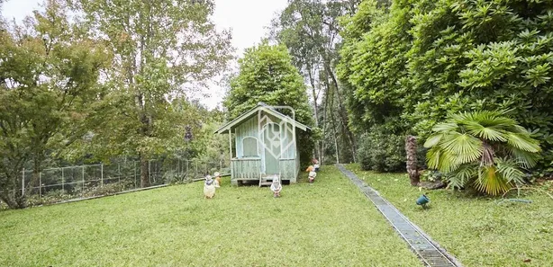 Fazenda / Sítio / Chácara com 4 Quartos à venda, 800m² no Guarani, Colombo