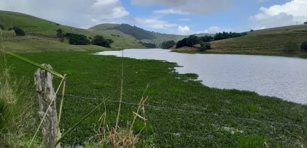 Fazenda / Sítio / Chácara com 6 Quartos à venda, 1070000m² no , Pombos