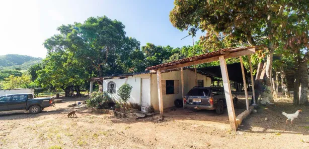Fazenda / Sítio / Chácara com 4 Quartos à venda, 100000m² no Área Rural de Planaltina, Brasília