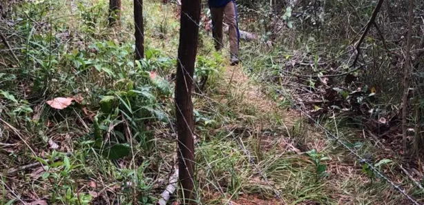 Fazenda / Sítio / Chácara à venda, 700000m² no Centro, Candeias