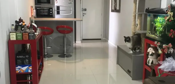 Apartamento com 2 Quartos à venda, 75m² no São João, Itajaí