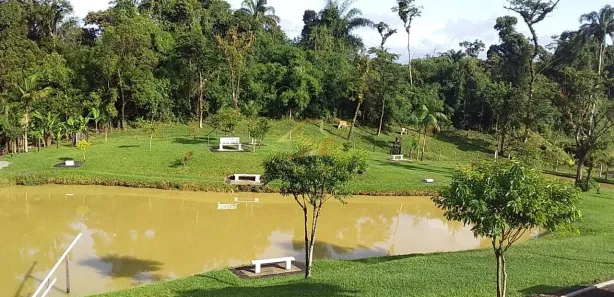 Fazenda / Sítio / Chácara com 3 Quartos à venda, 18000m² no , Antonina
