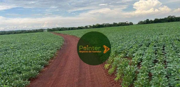 Fazenda / Sítio / Chácara à venda, 5030000m² no , Pedro Afonso