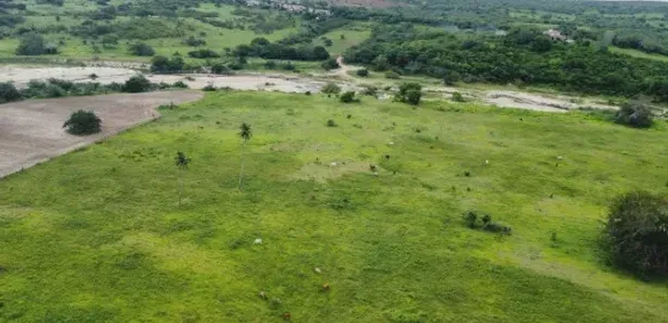 Fazenda / Sítio / Chácara com 3 Quartos à venda, 3000000m² no , Ielmo Marinho