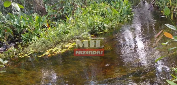Fazenda / Sítio / Chácara à venda, 1050m² no , Ponte Alta do Tocantins