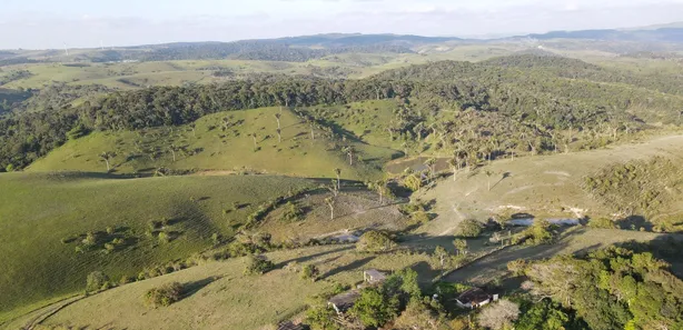 Fazenda / Sítio / Chácara à venda, 1160000m² no Área Rural de Gravatá, Gravatá