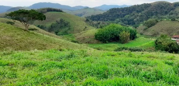 Fazenda / Sítio / Chácara à venda no Dorândia, Barra do Piraí