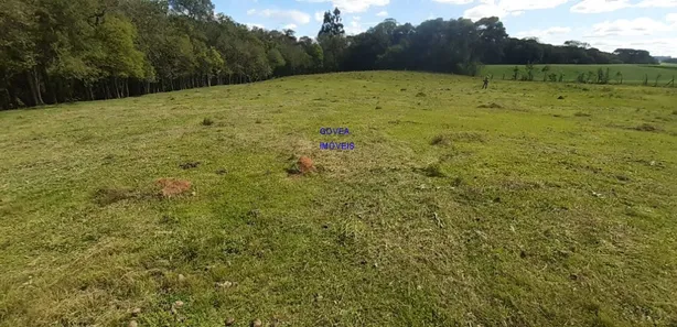 Fazenda / Sítio / Chácara com 3 Quartos à venda, 24200m² no , Contenda