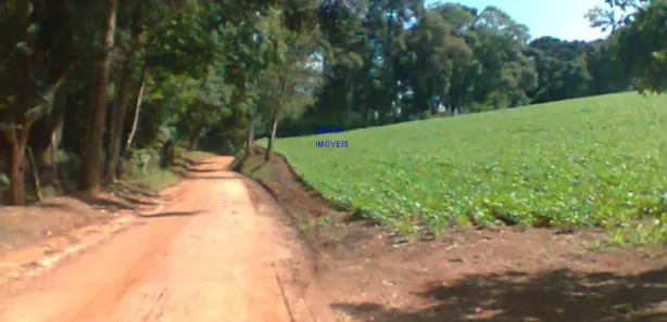 Fazenda / Sítio / Chácara com 1 Quarto à venda, 12000m² no , Contenda