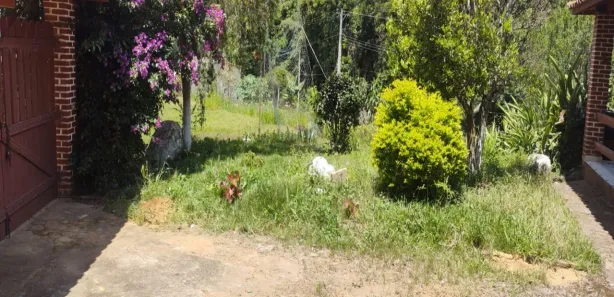 Fazenda / Sítio / Chácara com 2 Quartos à venda, 3850m² no Ibiúna, Ibiúna