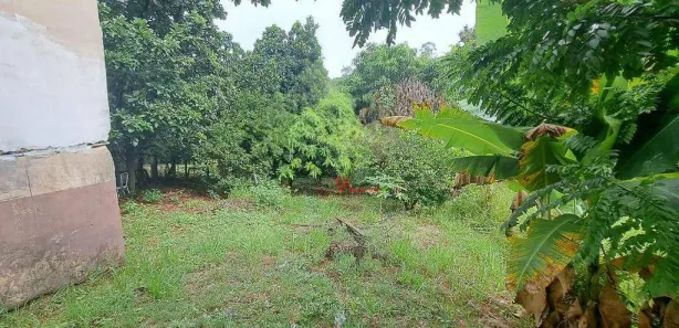 Fazenda / Sítio / Chácara com 2 Quartos à venda, 90m² no Centro (Tupi), Piracicaba