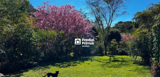 Fazenda / Sítio / Chácara com 2 Quartos à venda, 120m² no Mury, Nova Friburgo