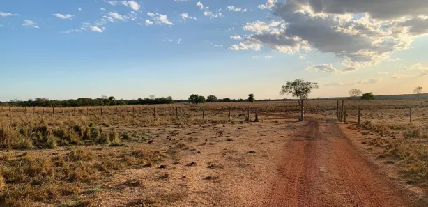 Fazenda / Sítio / Chácara com 5 Quartos à venda, 407m² no Área Rural de Gurupi, Gurupi