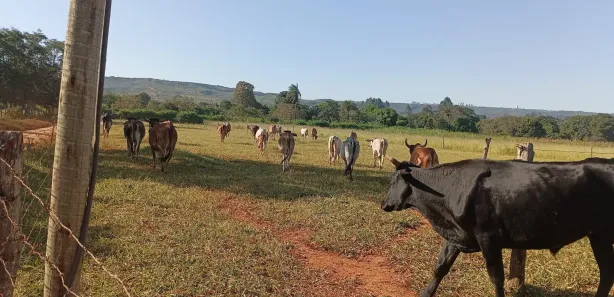 Fazenda / Sítio / Chácara à venda, 20000m² no Jardim Lago Azul, Novo Gama