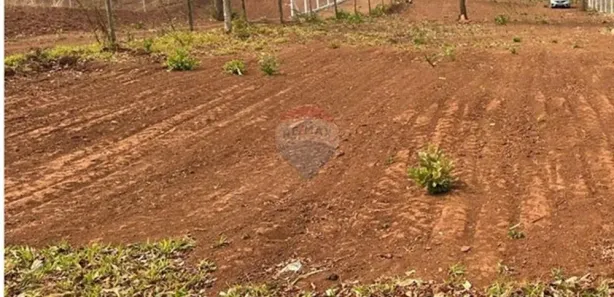 Terreno / Lote / Condomínio à venda, 3726m² no Loteamento Gameleira, Rio Verde