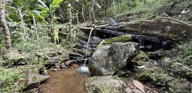 Fazenda / Sítio / Chácara com 6 Quartos à venda, 30000m² no , Pacoti