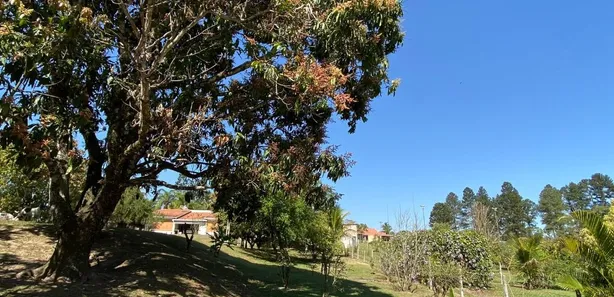 Fazenda / Sítio / Chácara com 4 Quartos à venda, 522m² no Jardim Porangaba, Águas de São Pedro