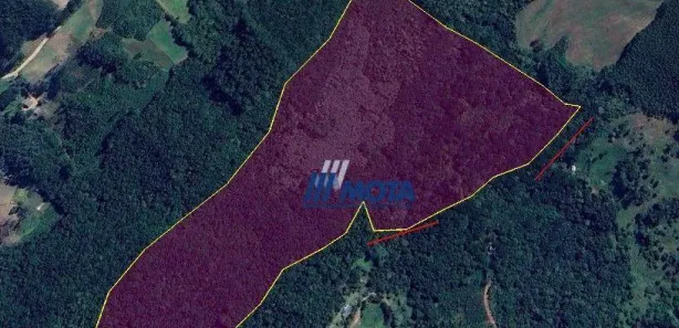 Fazenda / Sítio / Chácara à venda, 186700m² no Área Rural de Campo Largo, Campo Largo