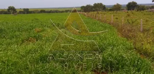 Fazenda / Sítio / Chácara com 6 Quartos à venda, 95287500m² no Guaraí, Guaraí
