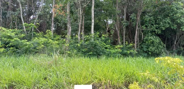Terreno / Lote / Condomínio à venda, 2000m² no , Bela Vista de Goiás