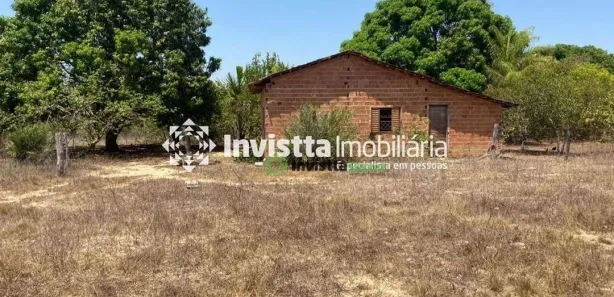 Fazenda / Sítio / Chácara à venda, 242m² no Centro, Pium