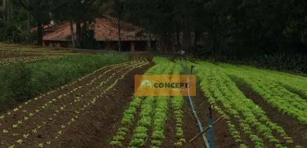 Fazenda / Sítio / Chácara com 8 Quartos para alugar, 450m² no Ipelândia, Suzano