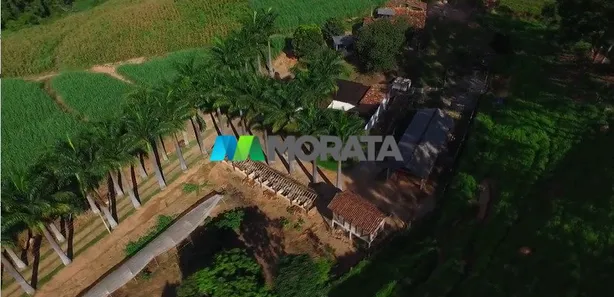 Fazenda / Sítio / Chácara com 4 Quartos à venda, 53m² no Centro, Viçosa